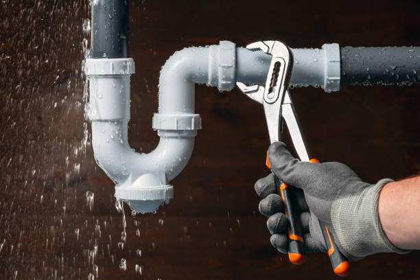 Professional Plumbing technician working in Little Falls, MN